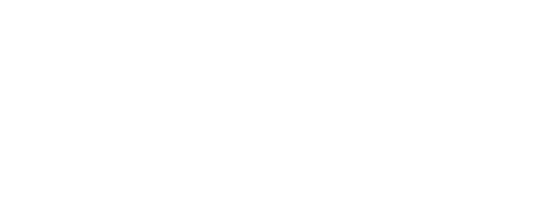 NeoDen logo